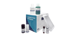 ELISA Kit Developed by Immunology Consultants Laboratory, Inc.

