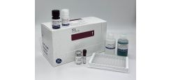 Bovine Alpha 1-Acid Glycoprotein ELISA Kit